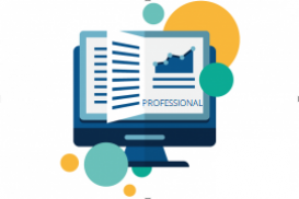 Coruson - Risk Module - Professional